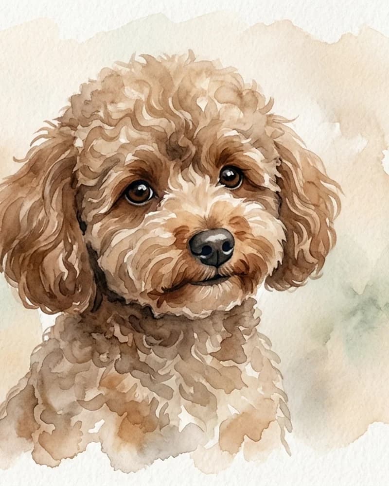 茶色のトイプードルの繊細な水彩画ポートレート